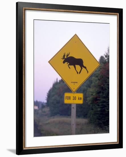 Sign, Moose Crossing the Road, Algonquin Provincial Park, Ontario, Canada-Thorsten Milse-Framed Photographic Print