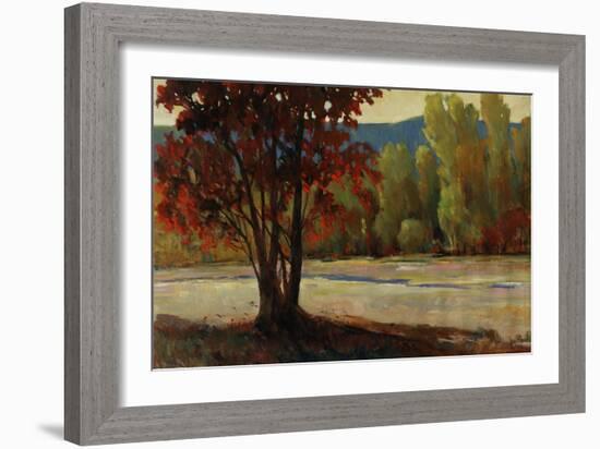 Sign of Fall II-Tim O'toole-Framed Giclee Print