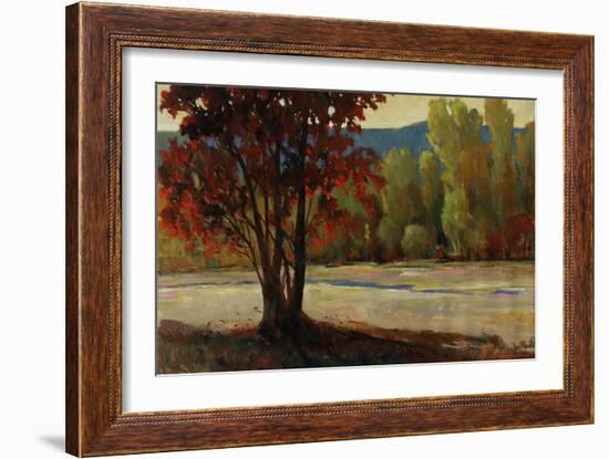 Sign of Fall II-Tim O'toole-Framed Giclee Print