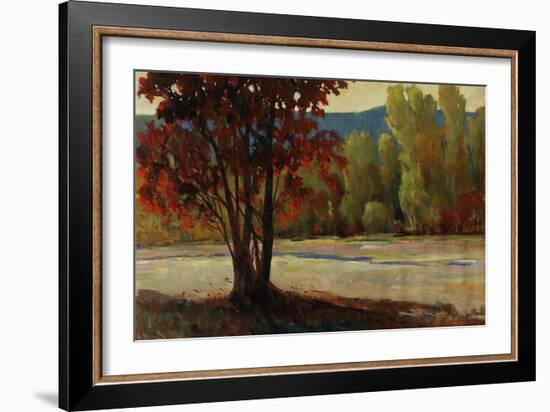 Sign of Fall II-Tim O'toole-Framed Giclee Print