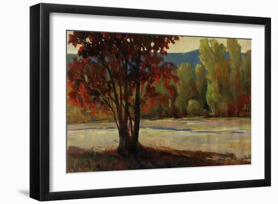 Sign of Fall II-Tim O'toole-Framed Giclee Print