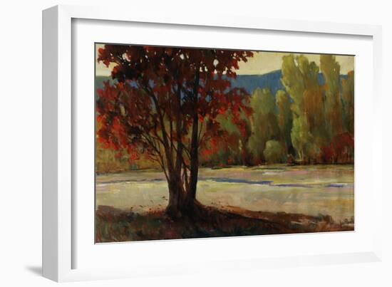 Sign of Fall II-Tim O'toole-Framed Giclee Print