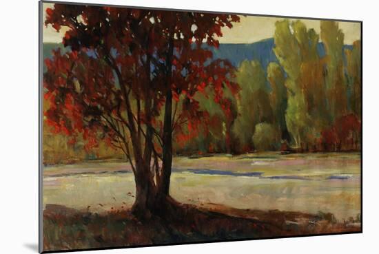 Sign of Fall II-Tim O'toole-Mounted Giclee Print