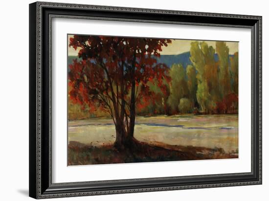 Sign of Fall II-Tim O'toole-Framed Giclee Print