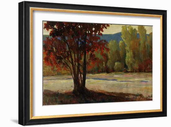 Sign of Fall II-Tim O'toole-Framed Giclee Print