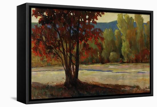 Sign of Fall II-Tim O'toole-Framed Premier Image Canvas