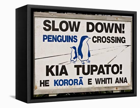 Sign Warning Drivers About Penguins in the Road, Wellington, North Island, New Zealand-Don Smith-Framed Premier Image Canvas