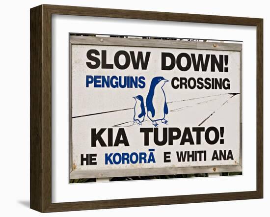 Sign Warning Drivers About Penguins in the Road, Wellington, North Island, New Zealand-Don Smith-Framed Photographic Print