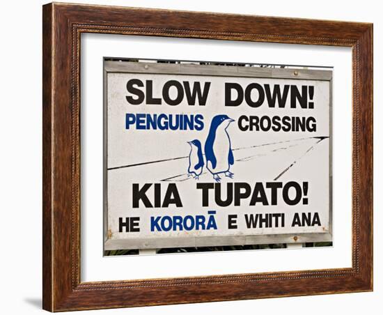 Sign Warning Drivers About Penguins in the Road, Wellington, North Island, New Zealand-Don Smith-Framed Photographic Print