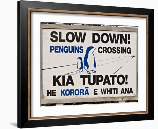 Sign Warning Drivers About Penguins in the Road, Wellington, North Island, New Zealand-Don Smith-Framed Photographic Print