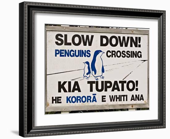 Sign Warning Drivers About Penguins in the Road, Wellington, North Island, New Zealand-Don Smith-Framed Photographic Print