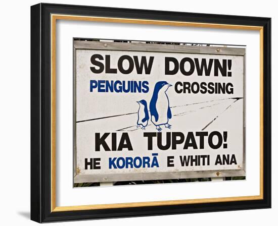 Sign Warning Drivers About Penguins in the Road, Wellington, North Island, New Zealand-Don Smith-Framed Photographic Print