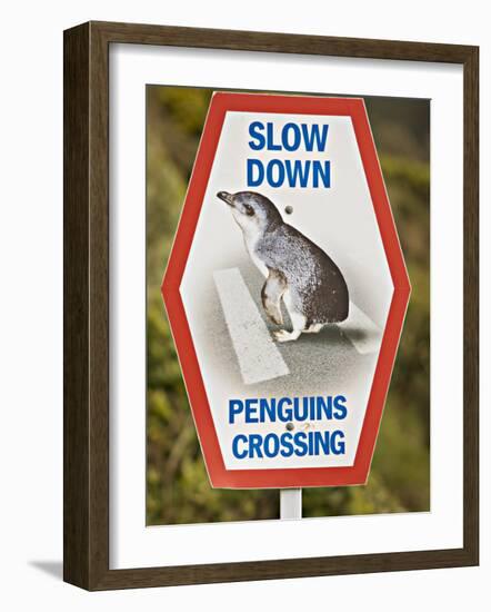 Sign Warning Drivers About Penguins in the Road, Wellington, North Island, New Zealand-Don Smith-Framed Photographic Print