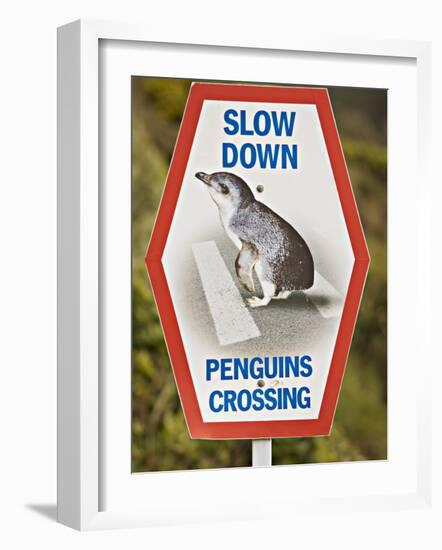 Sign Warning Drivers About Penguins in the Road, Wellington, North Island, New Zealand-Don Smith-Framed Photographic Print