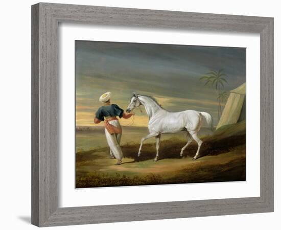 Signal, a Grey Arab, with a Groom in the Desert (Oil on Panel)-David of York Dalby-Framed Giclee Print