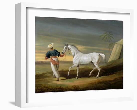 Signal, a Grey Arab, with a Groom in the Desert (Oil on Panel)-David of York Dalby-Framed Giclee Print