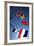 Signal Flags I-Alan Hausenflock-Framed Photographic Print