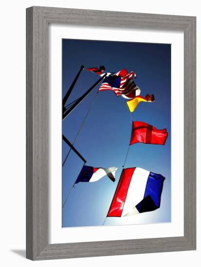 Signal Flags I-Alan Hausenflock-Framed Photographic Print