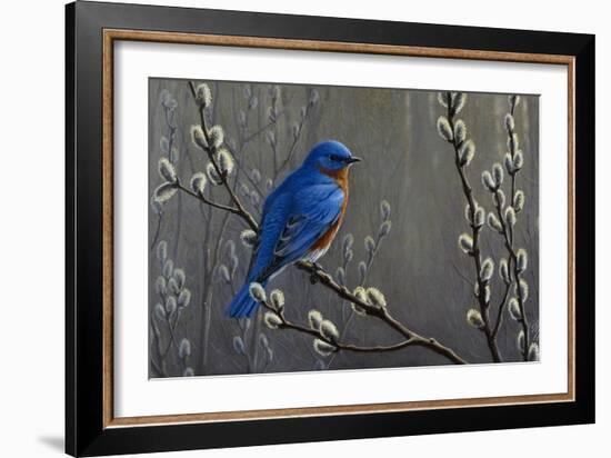 Signals of Spring - Eastern Bluebird-Wilhelm Goebel-Framed Giclee Print