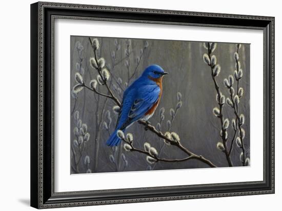 Signals of Spring - Eastern Bluebird-Wilhelm Goebel-Framed Giclee Print