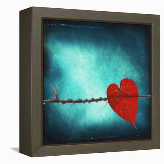 Signature-Philippe Sainte-Laudy-Framed Premier Image Canvas