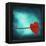 Signature-Philippe Sainte-Laudy-Framed Premier Image Canvas