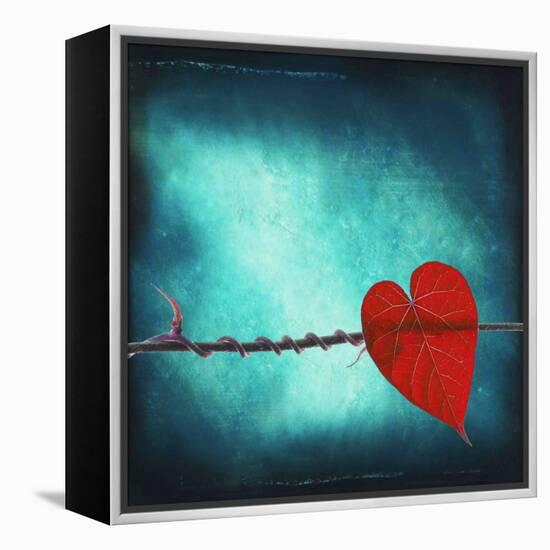 Signature-Philippe Sainte-Laudy-Framed Premier Image Canvas