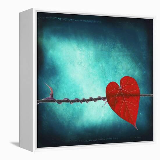 Signature-Philippe Sainte-Laudy-Framed Premier Image Canvas