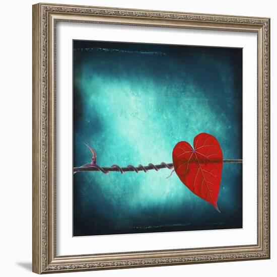 Signature-Philippe Sainte-Laudy-Framed Photographic Print