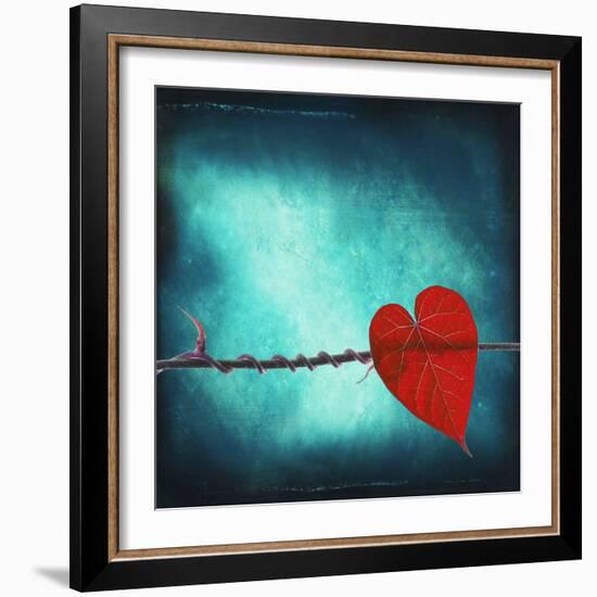 Signature-Philippe Sainte-Laudy-Framed Photographic Print