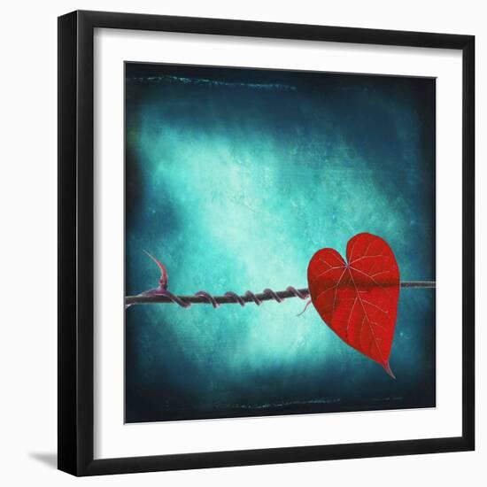 Signature-Philippe Sainte-Laudy-Framed Photographic Print