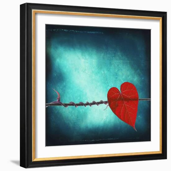 Signature-Philippe Sainte-Laudy-Framed Photographic Print