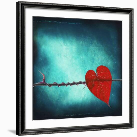 Signature-Philippe Sainte-Laudy-Framed Photographic Print