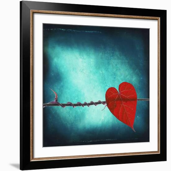 Signature-Philippe Sainte-Laudy-Framed Photographic Print