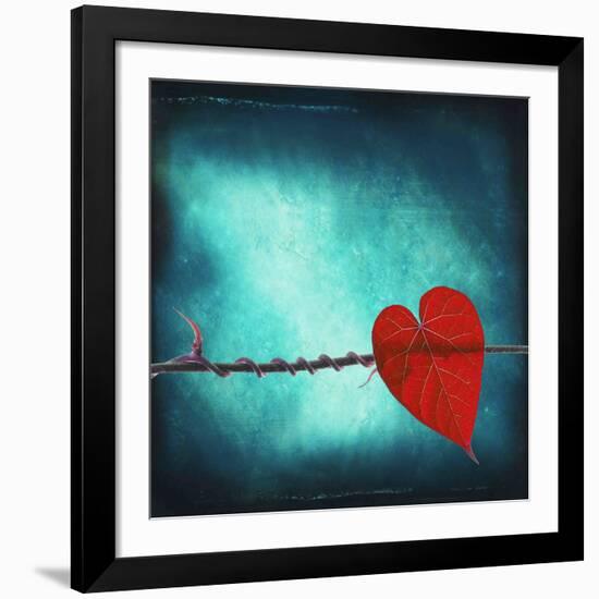 Signature-Philippe Sainte-Laudy-Framed Giclee Print