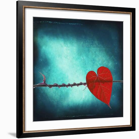 Signature-Philippe Sainte-Laudy-Framed Giclee Print