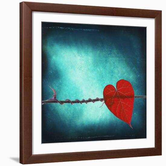 Signature-Philippe Sainte-Laudy-Framed Giclee Print