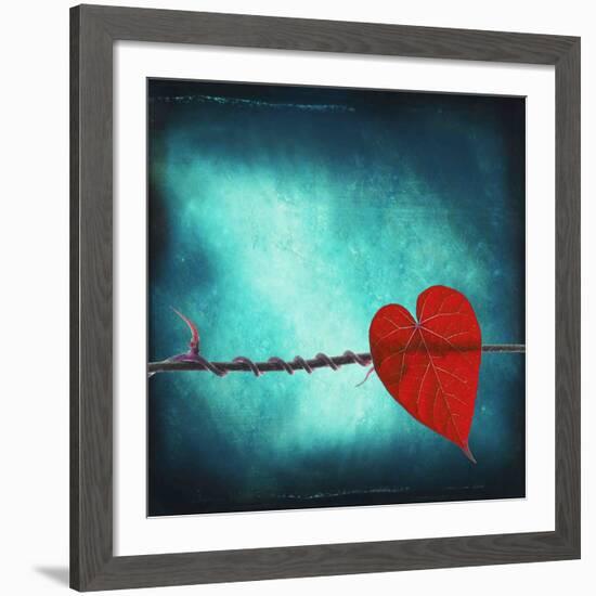 Signature-Philippe Sainte-Laudy-Framed Giclee Print