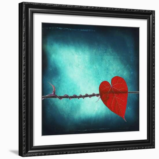 Signature-Philippe Sainte-Laudy-Framed Giclee Print