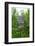 Signpost Near Flam, Norway, Scandinavia, Europe-Amanda Hall-Framed Photographic Print