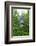 Signpost Near Flam, Norway, Scandinavia, Europe-Amanda Hall-Framed Photographic Print