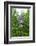 Signpost Near Flam, Norway, Scandinavia, Europe-Amanda Hall-Framed Photographic Print