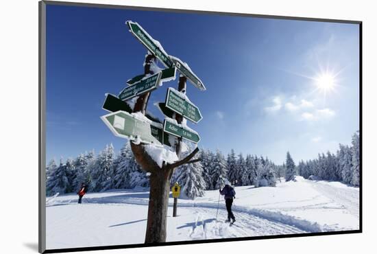 Signpost, Snow, Cross-Country Skier, Sun, Forest-Harald Schšn-Mounted Photographic Print