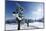 Signpost, Snow, Cross-Country Skier, Sun, Forest-Harald Schšn-Mounted Photographic Print
