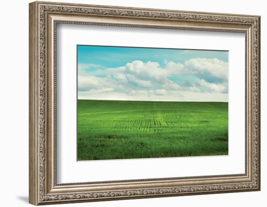 Signs of Life-Annie Bailey Art-Framed Photographic Print