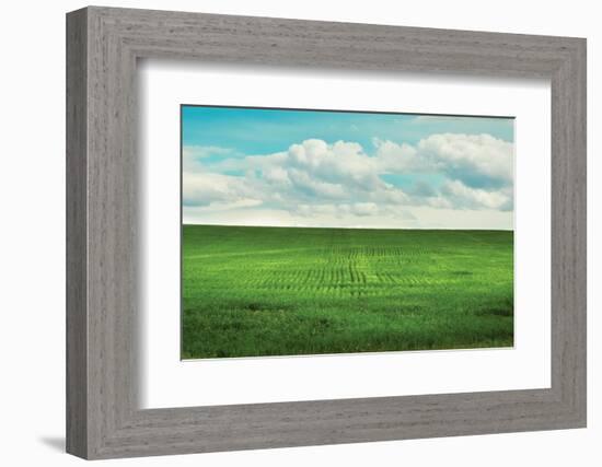 Signs of Life-Annie Bailey Art-Framed Photographic Print