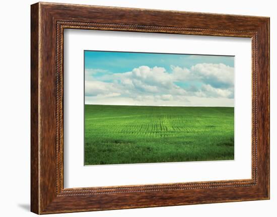 Signs of Life-Annie Bailey Art-Framed Photographic Print