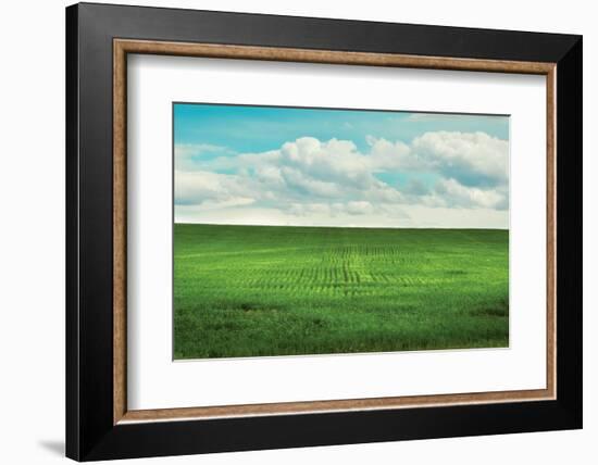 Signs of Life-Annie Bailey Art-Framed Photographic Print