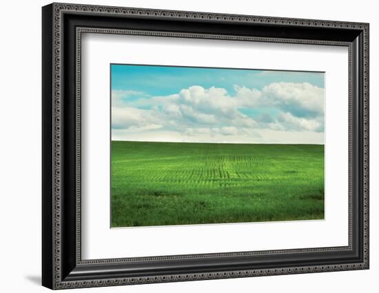 Signs of Life-Annie Bailey Art-Framed Photographic Print