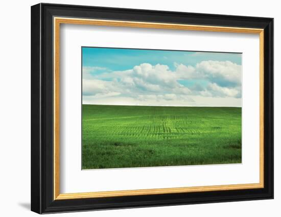 Signs of Life-Annie Bailey Art-Framed Photographic Print